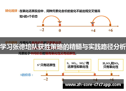学习张德培队获胜策略的精髓与实践路径分析